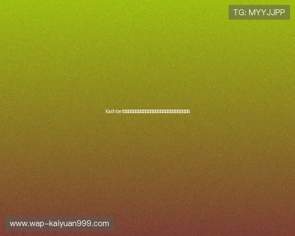 Kashbet娱乐平台高额返水优惠，助力玩家提升盈利空间实现财富增长